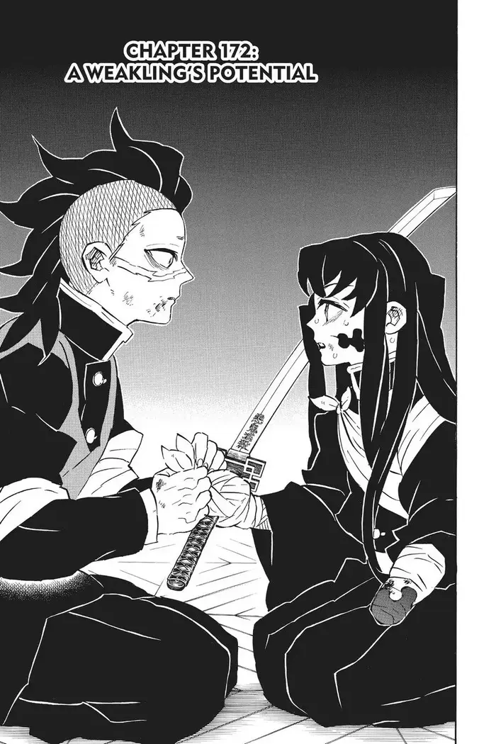Demon Slayer Chapter 172 image 01_optimized